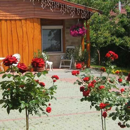 Angela Panzio Bed & Breakfast Berettyóújfalu